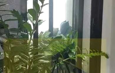 Imagem 16: Bragança Paulista - Casa Padrão - Condomínio Portal da Serra