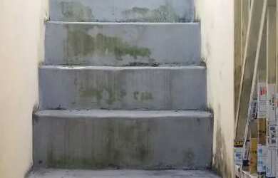 Imagem 6: ALUGAR CASA. Varanda, 24m² de Área, 1 Banheiroe1 Dormitório