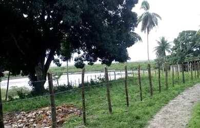 Imagem: A fazenda está localizado em Santo Amaro, BA à venda por R$800.000