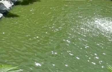 Imagem 3: Casa no Planalto. Piscina, Churrasqueira, Imóvel mobiliadoeAr-condicionado