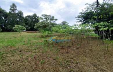 Imagem 4: Chácara à venda, 2000 m² por R$ 210.000,00 - Morumbi - Cascavel/PR