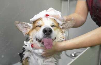 Imagem: O depósito possui 30m² de Área e está localizado em Sion