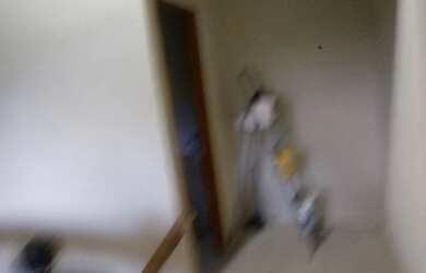 Imagem 7: Vendo chácara com um lindo chalé rústico poucas coisas pra finalizar