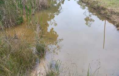 Imagem: A chácara possui 22.000m² de Área e está localizado em