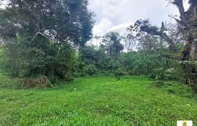 Imagem 5: Área à Venda - BR-101, Araquari/SC