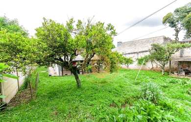 Imagem 8: Terreno à venda, 772 m² por R$ 999.000,00 - São Lourenço - Curitiba/PR