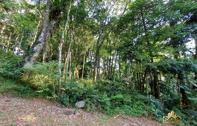 Imagem: O terreno possui 861m² de Área e está localizado em Gramado