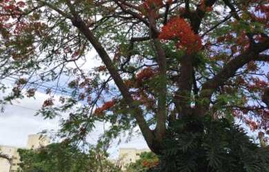 Imagem 4: Apartamento com 2 dormitórios, 55 m² - venda por R$ 185.900 ou aluguel...