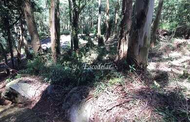 Imagem 1: Terreno à venda, 585 m² por R$ 398.000,00 - Jardim Peri - São Paulo/SP