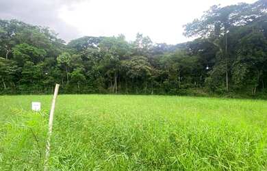 Imagem 3: Terreno à venda, 531 m² por R$ 3.850.000,00 - Riviera de São Lourenço...