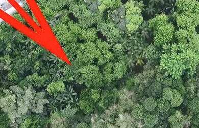 Imagem 3: Área à venda, 7230 m² por R$ 950.000,00 - Sertao da Quina - Ubatuba/SP