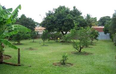 Imagem 7: Chácara Residencial à venda, Praia dos Namorados, Americana - CH0003