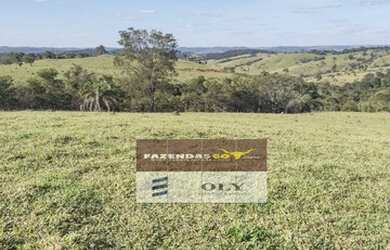 Imagem: A fazenda está localizado em Araçu, GO à venda por R$14.700.000