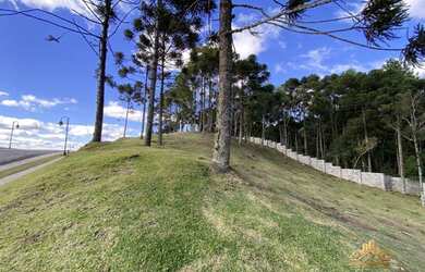 Imagem 6: Terreno à venda, 1000 m² por R$ 1.801.800,00 - Pórtico - Gramado/RS