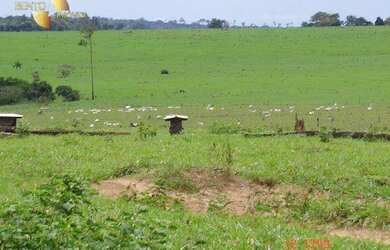 Imagem 11: Fazenda à venda, 8645 HECTARES por R$ 86.500.000 - Zona Rural - Tangará...