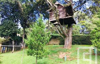 Imagem 5: Terreno à venda, 1000 m² por R$ 390.000,00 - Alto da Boa Vista - Campos do Jordão/SP