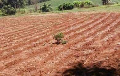 Imagem: O terreno possui 420m² de Área e está localizado em Guaraniaçu