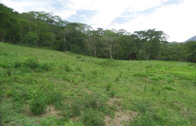 Imagem: O terreno possui 132000m² de Área e está localizado em Pedro