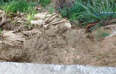 Imagem 4: Terreno residencial à venda, Jardim Paulista II, Jundiaí