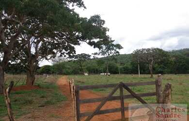 Imagem 9: Área para Venda em Senador Canedo, Chácara Santa Luzia