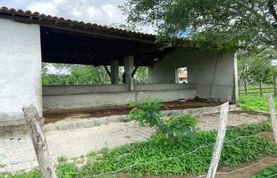 Imagem 12: Área à venda,140000m2 por R$750.000,00-4º Distrito- Zona Rural-Caruaru/PE