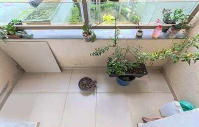 Imagem 11: APARTAMENTO RESIDENCIAL em São Paulo - SP, Jardim Santa Terezinha