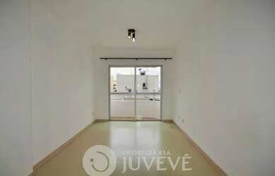 Imagem 4: IMOBILIARIA JUVEVÊ ALUGA APARTAMENTO CRISTO REI FRENTE JD BOTANICO PRX...