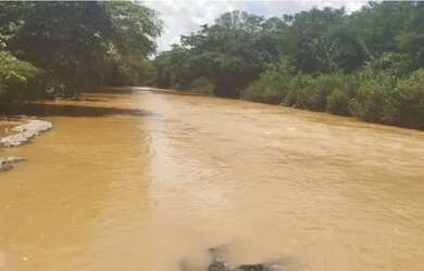 Imagem 7: Vende-se uma excelente fazenda de 238 hectares