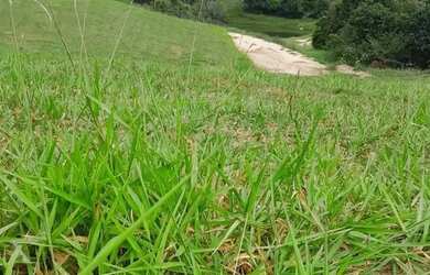 Imagem 16: Terrenos para venda tem 1000 metros quadrados com 1 quarto em Cristal...