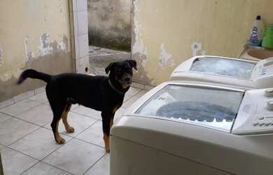 Imagem 16: Casa ampla próximo ao centro de São Gonçalo