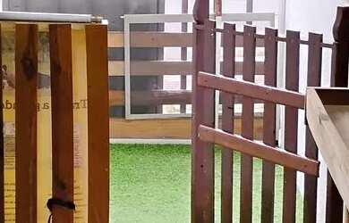 Imagem 10: Vende se Pet Shop bem localizado e com boa clientela no bairro Sion