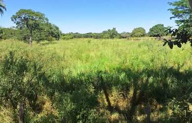 Imagem 13: Fazenda de 114,7 hectares toda plana, toda cercada no arame liso com Rio...