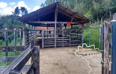 Imagem 7: Campo Brasil Imóveis, realizando seu sonho rural Fazenda de 35 aq em...