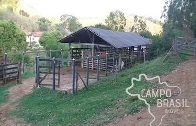 Imagem 8: Campo Brasil Imóveis, realizando seu sonho rural Fazenda de 35 aq em...