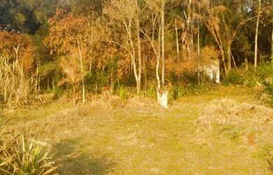 Imagem 3: Chácara Guaravera. 20.000m² de Área