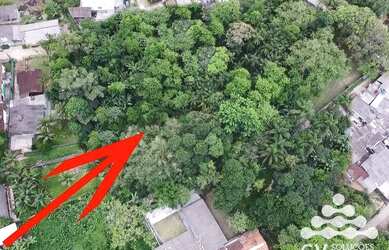 Imagem 2: Área à venda, 7230 m² por R$ 950.000,00 - Sertao da Quina - Ubatuba/SP