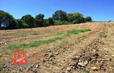 Imagem 1: CAXIAS DO SUL - Terreno Padrão - São Luiz
