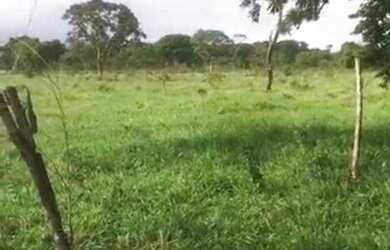 Imagem 4: Área para Venda em Senador Canedo, Chácara Santa Luzia