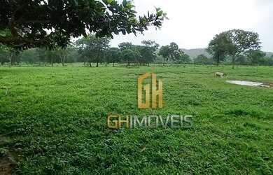 Imagem 6: Fazenda à venda, 503 hectares por R$ - Zona Rural - Goianésia/GO