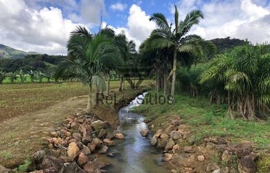 Imagem 2: Sítio 1 Quarto Rodeio - SC - Consulte