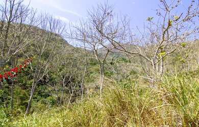 Imagem: O terreno possui 20950m² de Área e está localizado em Itaipava