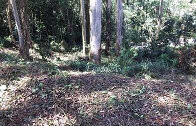 Imagem 2: Terreno à venda, 585 m² por R$ 398.000,00 - Jardim Peri - São Paulo/SP