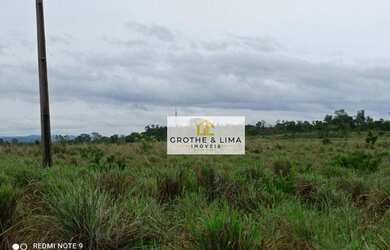 Imagem 4: Fazenda à venda, 100 alqueires por R$ 8.000.000 - Setor Central - TO