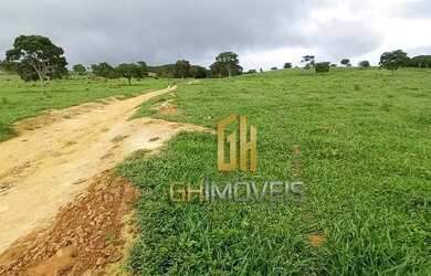 Imagem 5: Fazenda à venda, 503 hectares por R$ - Zona Rural - Goianésia/GO