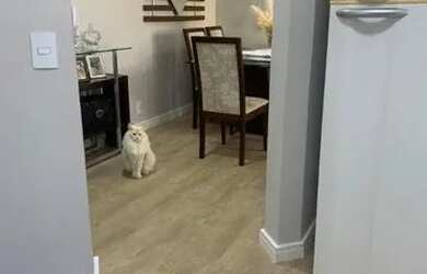 Imagem 10: Apartamento com 3 dormitórios à venda, 62 m² por R$ 330.000 - Parque...