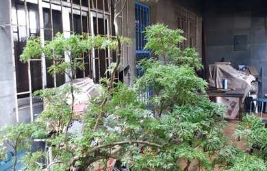 Imagem 2: Alugo Casa 3qts no Mutuá