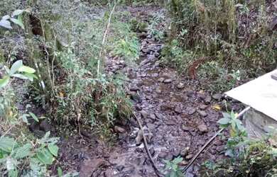 Imagem 10: Chácara em mato queimado 2 km da estrada do Cazuza ferreira