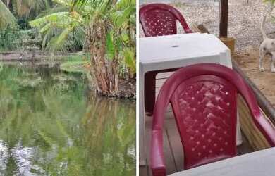 Imagem 6: Alugue este espaço particular, com açúdes cheios de peixes, com chalé,...