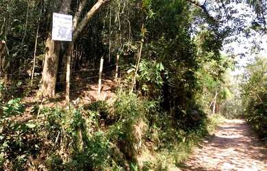 Imagem 8: Terreno com 5.115 m² à venda em Suzano - SP por R$ 169.000,00