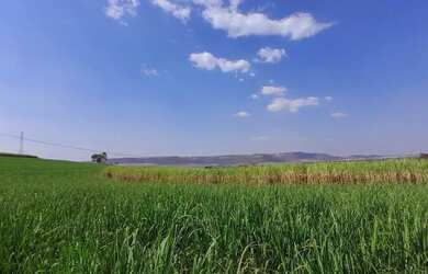 Imagem: O terreno possui 5.000m² de Área e está localizado em Cravinhos